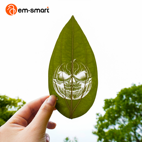 How to Engrave on Leaves: A Step‑by‑Step Guide