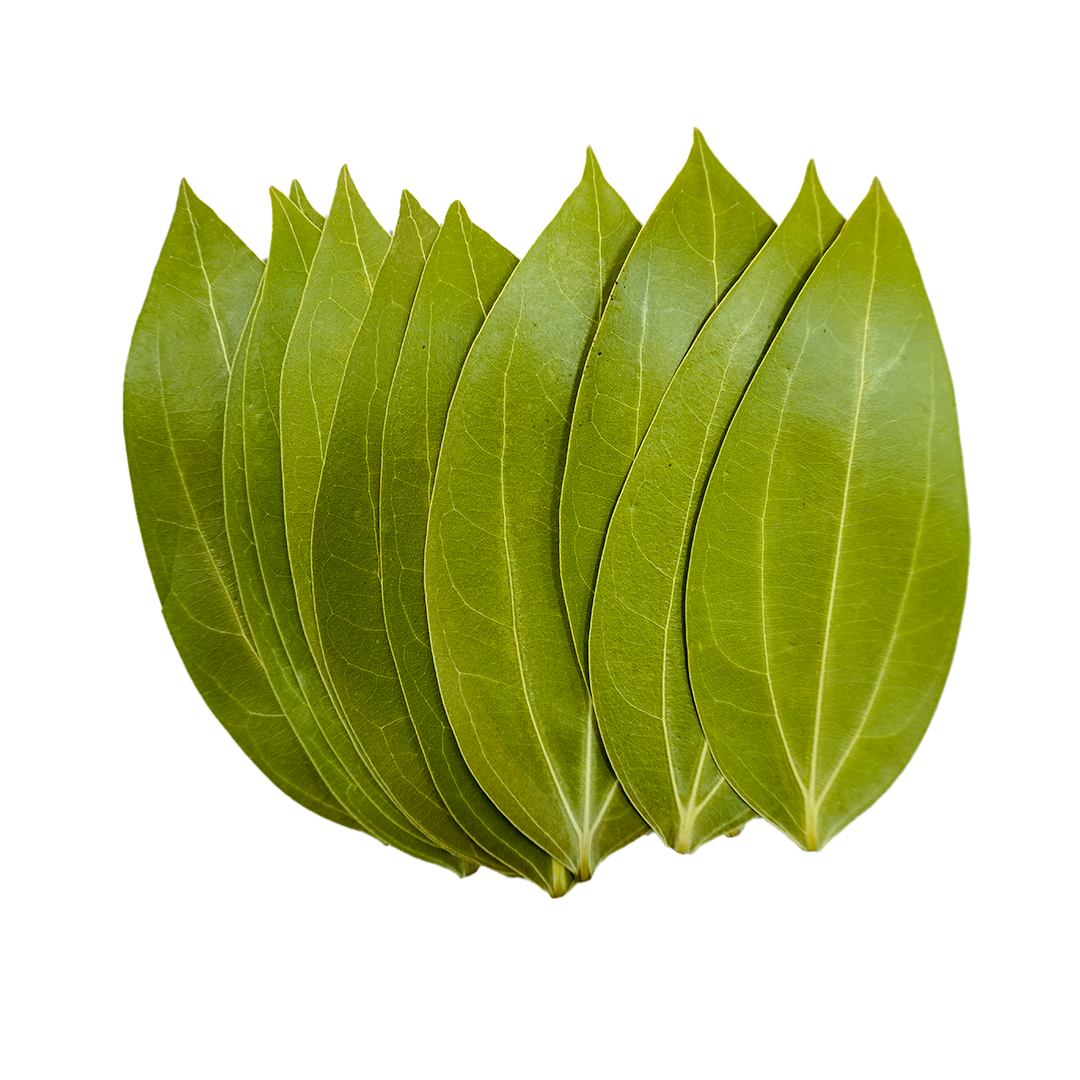Leaves for Laser Engraving (10pcs)